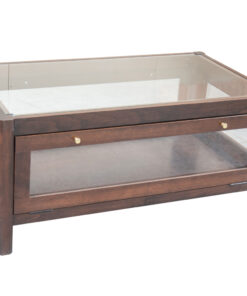 Coffee Table Display Case
