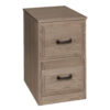 Traditional 2 Drawer Vertical File Cabinet