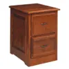 Liberty Two Drawer File