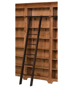 Finley Library Ladder